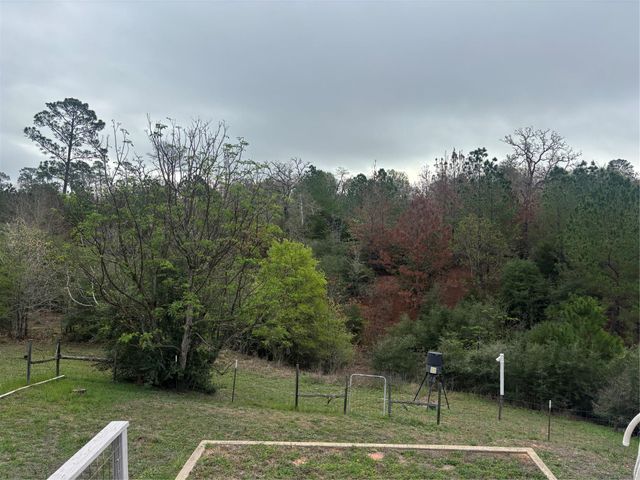 151 Cottletown RD, Smithville, TX 78957