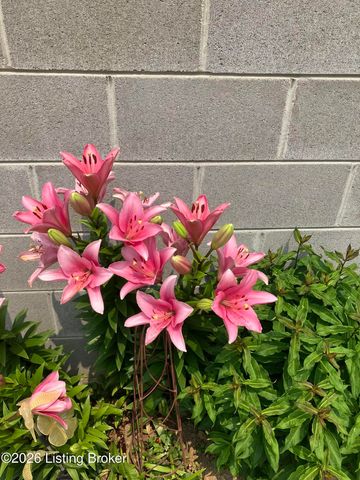 1038 Trevilian Way, Louisville, KY 40213