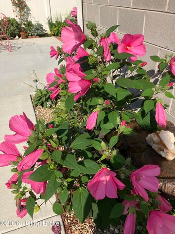 1038 Trevilian Way, Louisville, KY 40213