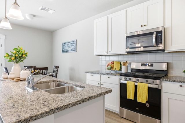 17205 Leafroller DR B, Pflugerville, TX 78660