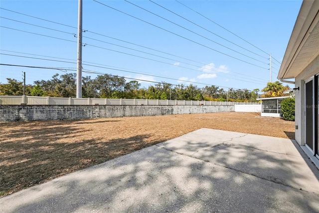 4617 CABBAGE PALM DRIVE, Valrico, FL 33596