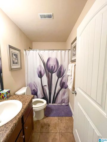 316 VINCENT STREET, Alabaster, AL 35007