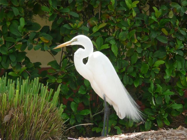 51 S ADAMS DRIVE, Sarasota, FL 34236