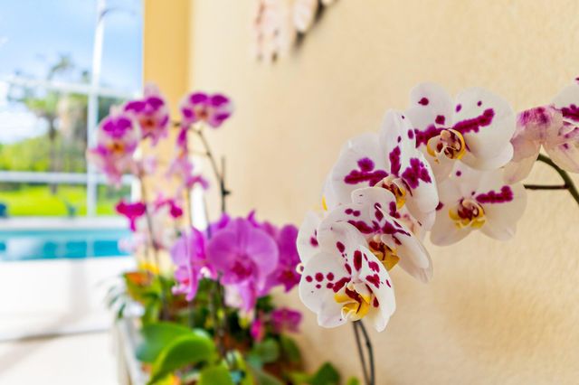 8240 SE Paurotis Lane, Hobe Sound, FL 33455