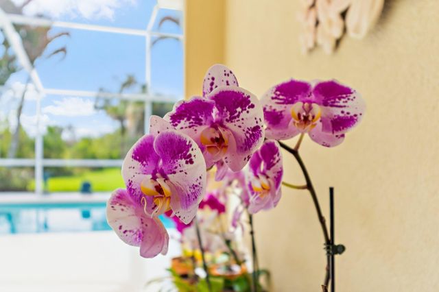 8240 SE Paurotis Lane, Hobe Sound, FL 33455