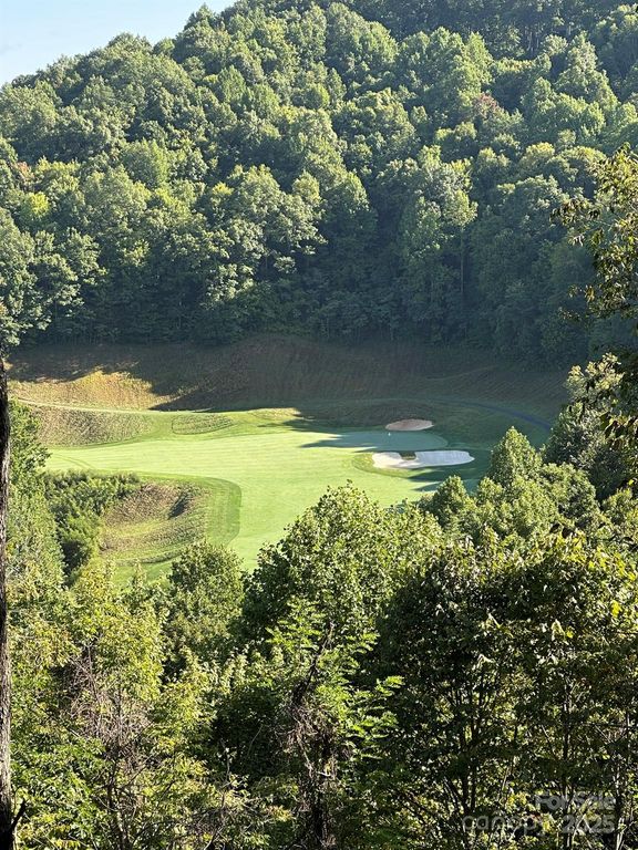 142 Old Growth Way 58, Sylva, NC 28779