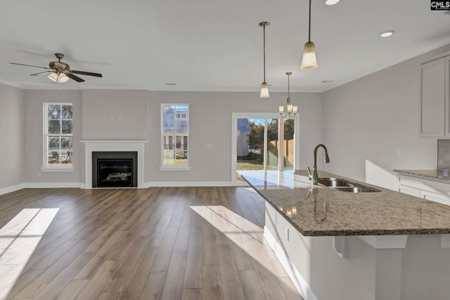 635 Thunder Gulch Avenue, Lexington, SC 29073