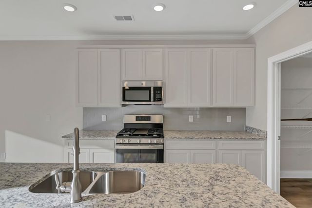 635 Thunder Gulch Avenue, Lexington, SC 29073
