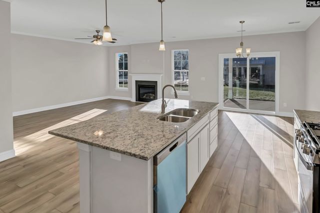 635 Thunder Gulch Avenue, Lexington, SC 29073