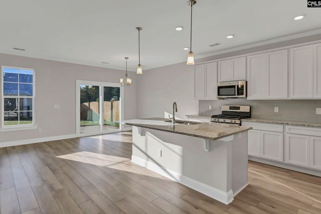 635 Thunder Gulch Avenue, Lexington, SC 29073