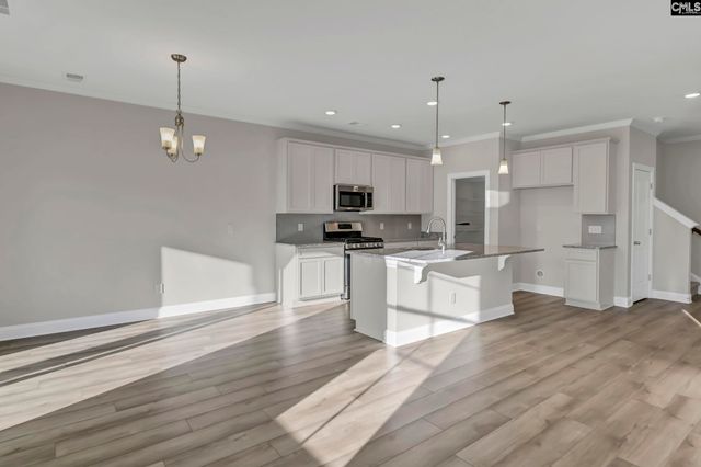 635 Thunder Gulch Avenue, Lexington, SC 29073