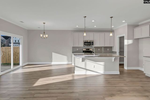 635 Thunder Gulch Avenue, Lexington, SC 29073