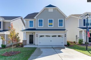 635 Thunder Gulch Avenue, Lexington, SC 29073