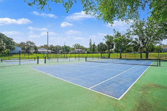 14733 PINE GLEN CIRCLE, Lutz, FL 33559