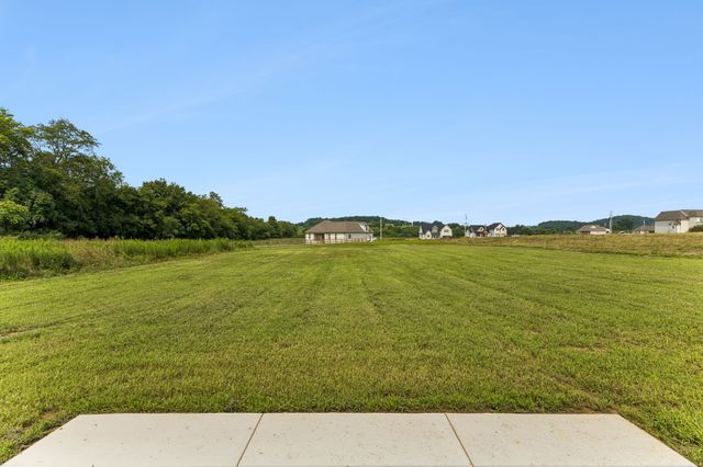 3312 Kathleen Ct, Cornersville, TN 37047