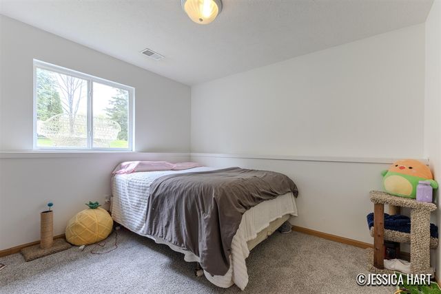 321 Pioneer Trail, Cedar Springs, MI 49319