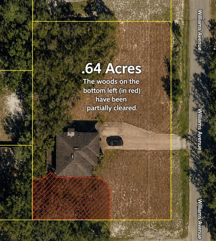 480 WILLIAMS AVENUE, Orange City, FL 32763