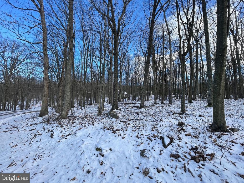103 SNOWRIDGE CIRCLE, Zion Grove, PA 17985