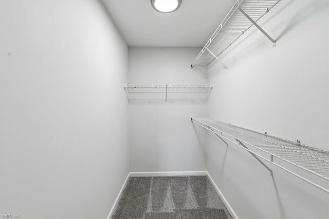 828 Connors DR, Newport News, VA 23608