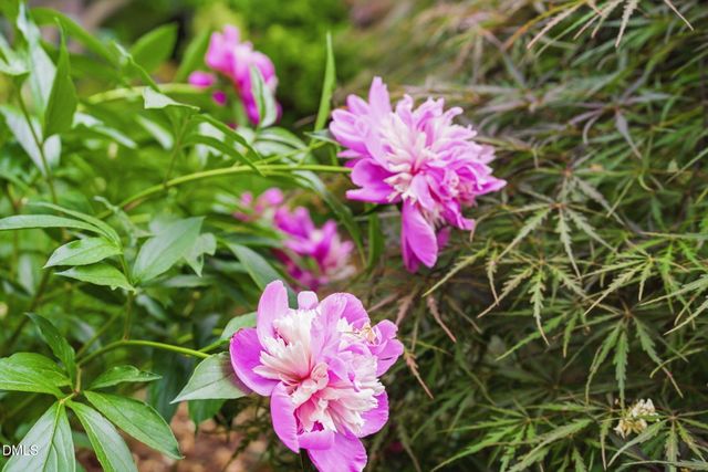 3218 Oak Grove Circle, Raleigh, NC 27607