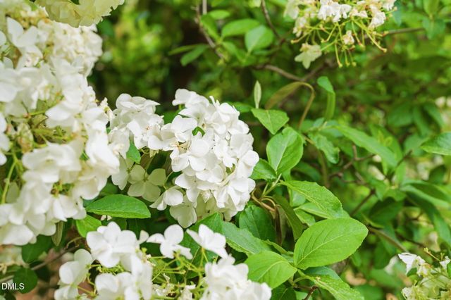 3218 Oak Grove Circle, Raleigh, NC 27607