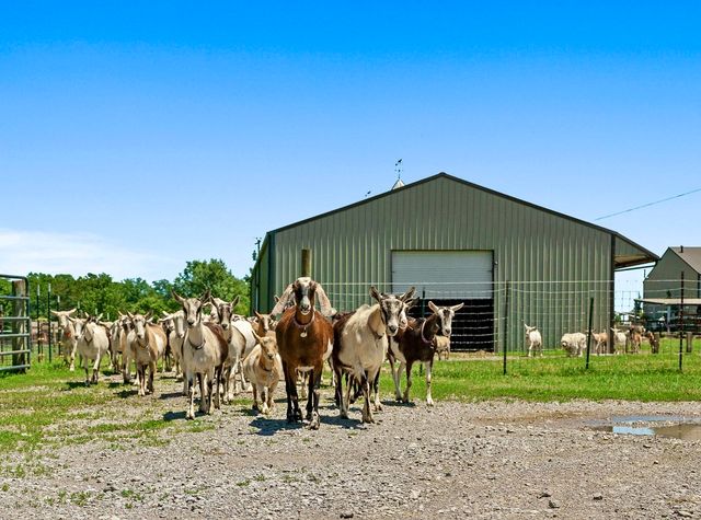 285 Harmony Ln, Smithville, TN 37166