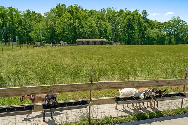 285 Harmony Ln, Smithville, TN 37166