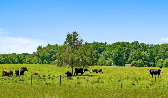 285 Harmony Ln, Smithville, TN 37166