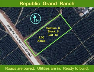 11855 Moss Grove Court, Willis, TX 77378