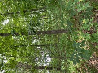 8722 Bob White Drive, Hernando, MS 38632