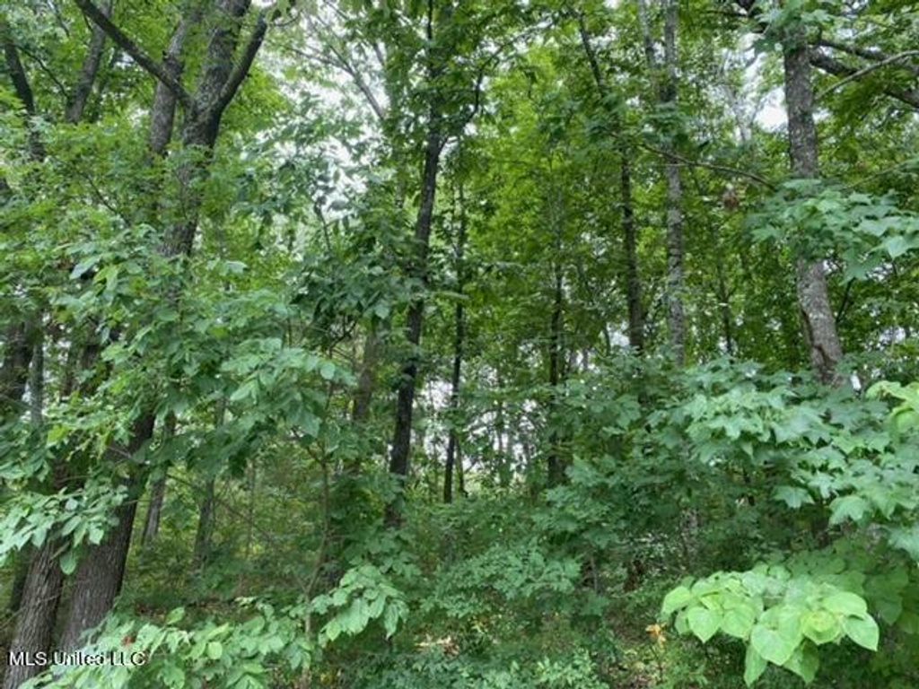 8722 Bob White Drive, Hernando, MS 38632 — photo 2