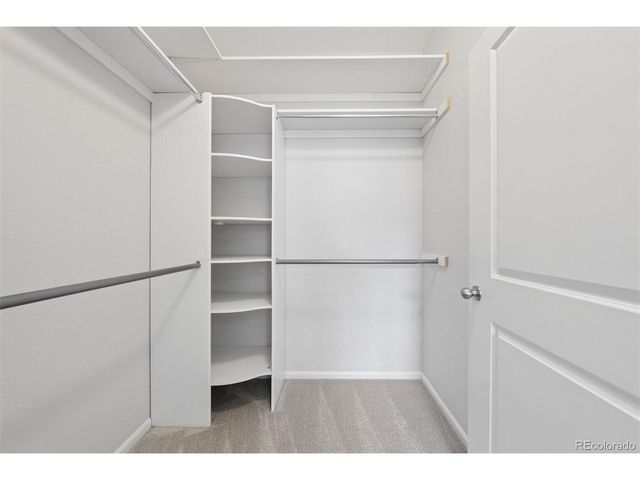 10273 Bellwether Ln, Lone Tree, CO 80124