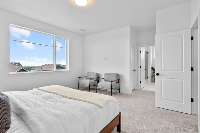 4888 Noris Avenue, Morrison, CO 80465