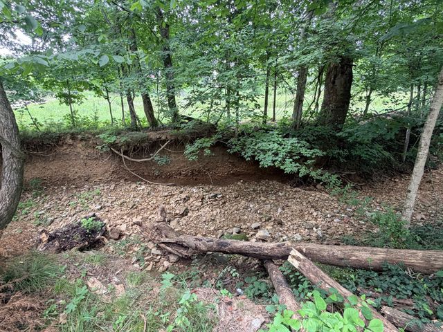 1066 Indian Creek Rd, Cumberland Furnace, TN 37051