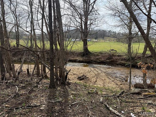 1046 Wayne 372, Piedmont, MO 63957