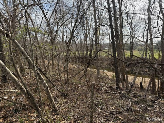 1046 Wayne 372, Piedmont, MO 63957