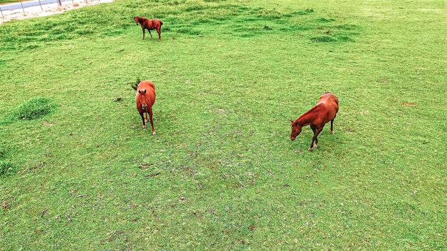 770 Merriam Rd, Hickman, CA 95323