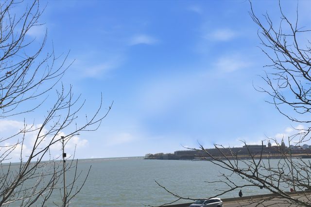 840 N Lake Shore Drive 201, Chicago, IL 60611