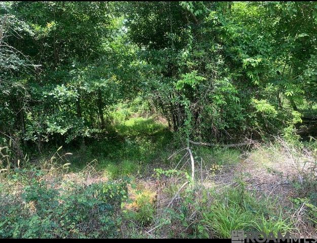 Amite River Rd, Baton Rouge, LA 70817