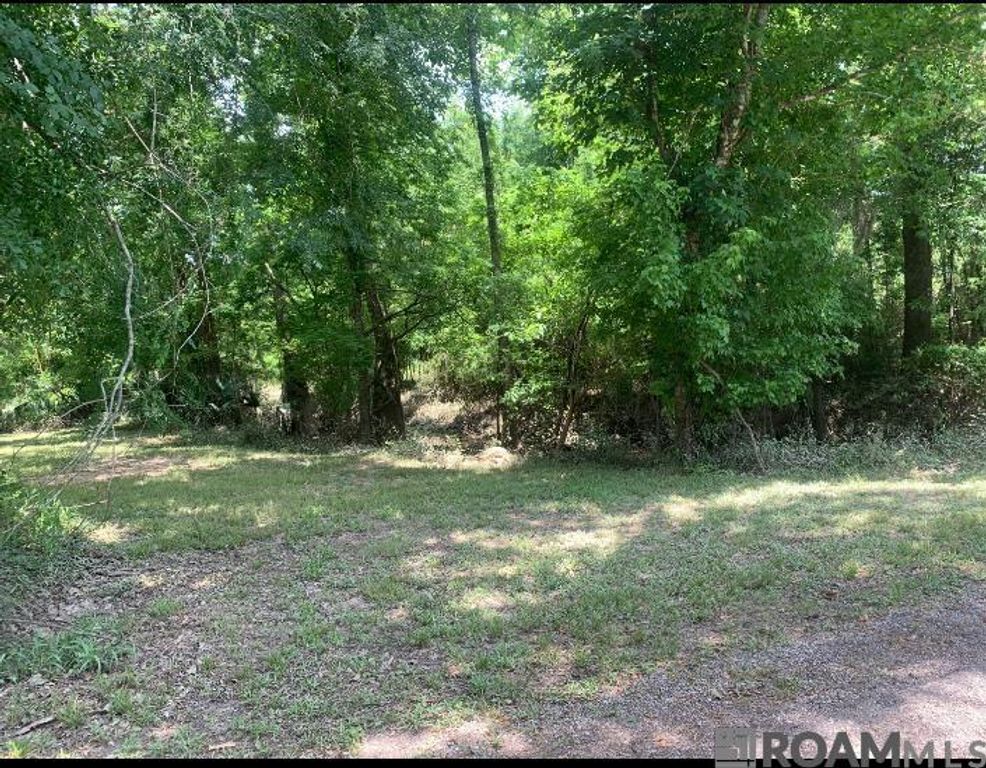 Amite River Rd, Baton Rouge, LA 70817