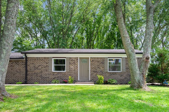 349 Dawn Dr, Cedar Hill, TN 37032