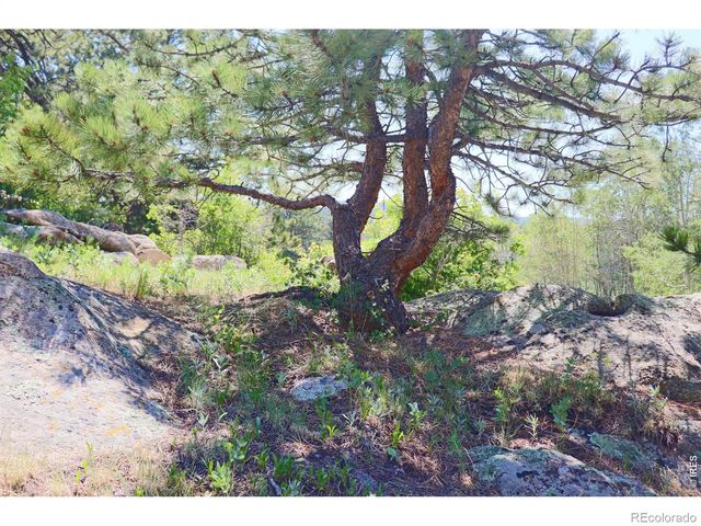 636 Ranch Road, Ward, CO 80481