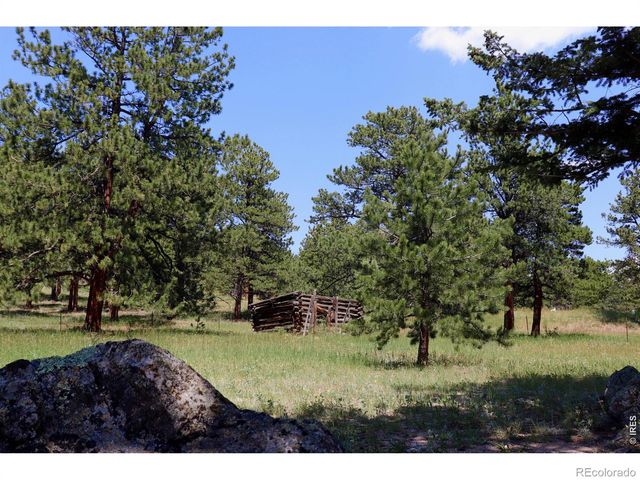 636 Ranch Road, Ward, CO 80481