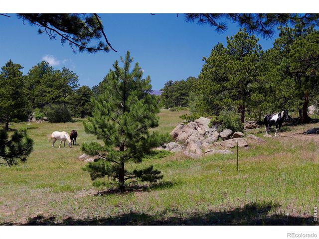 636 Ranch Road, Ward, CO 80481
