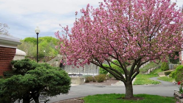 22 N Stone Mill Dr 1111, Dedham, MA 02026