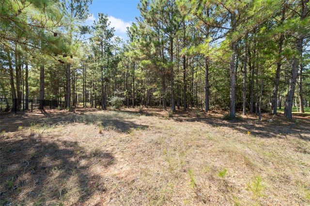 0 Ridgelake Court, Montgomery, TX 77316