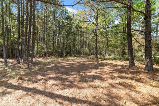 0 Ridgelake Court, Montgomery, TX 77316