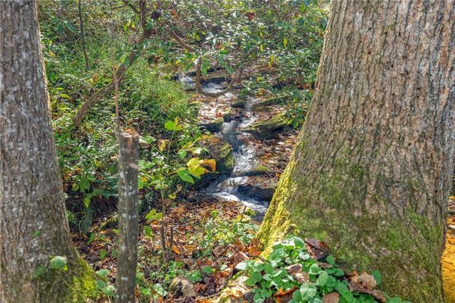 158 Elliott Court, Dawsonville, GA 30534