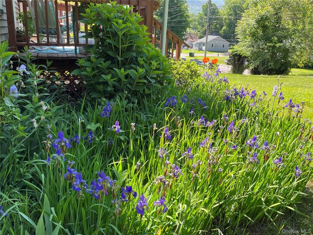 17 Spring Street, Ellenville, NY 12428