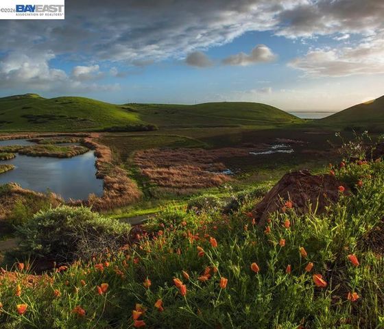 36267 Toulon Pl, Newark, CA 94560